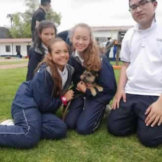 Foto GIMNASIO CAMPESTRE LOS ALISOS